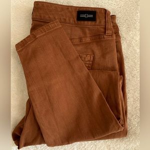Liverpool Skinny Jean / 16W / Burnt Orange